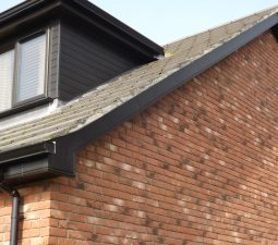 gutter fascia dry verge