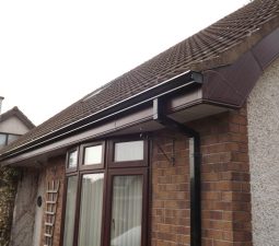 gutter fascia dry verge